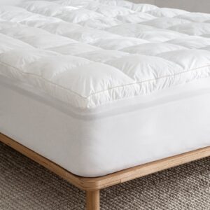 Single – Mattress Protector